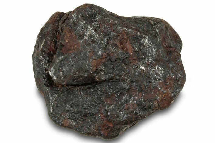 Canyon Diablo Iron Meteorite ( g) - Arizona #319683